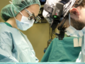 Madrid invierte 40 millones de euros en stents coronarios para el tratamiento de cardiopatías isquémicas