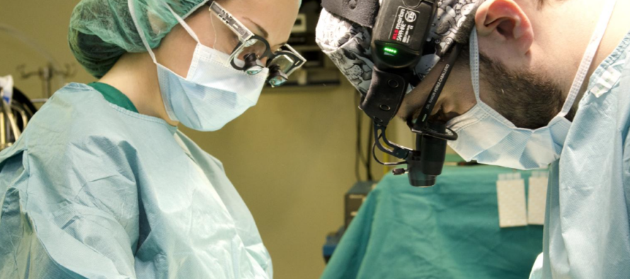 Madrid invierte 40 millones de euros en stents coronarios para el tratamiento de cardiopatías isquémicas