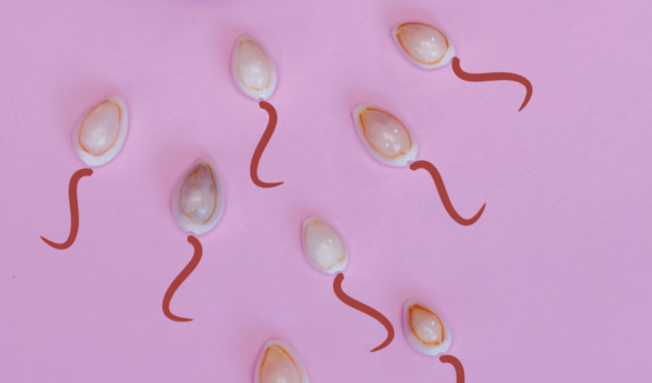 Un estudio revela una mejor calidad seminal en los hombres del norte de España que en los del centro y sur
