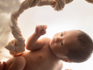 Un estudio revela el papel clave de una proteína en la formación de la placenta y el crecimiento del feto
