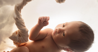 Un estudio revela el papel clave de una proteína en la formación de la placenta y el crecimiento del feto