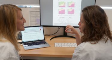 Cáncer de endometrio: Hallan una combinación de fármacos eficaz contra él
