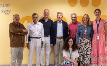 La Fundación Domingo Martínez impulsa la investigación del CNIO en cáncer de vejiga