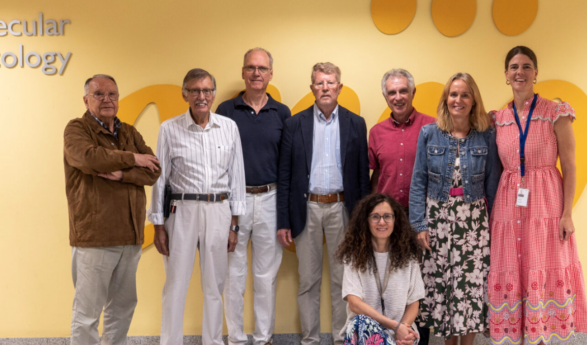 La Fundación Domingo Martínez impulsa la investigación del CNIO en cáncer de vejiga