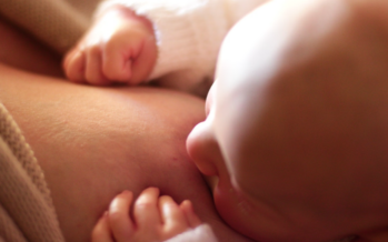 Un medicamento que corta la leche tras el parto logra reducir a la mitad los ratones que desarrollan cáncer de mama