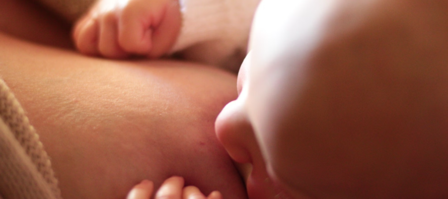 Un medicamento que corta la leche tras el parto logra reducir a la mitad los ratones que desarrollan cáncer de mama
